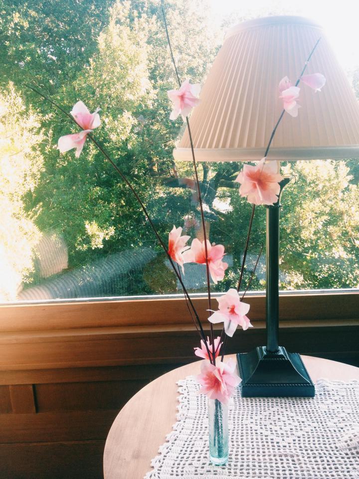 Kinfolk Cherry Blossoms