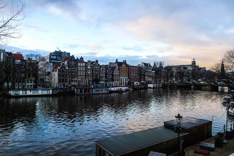 View From the Apartment