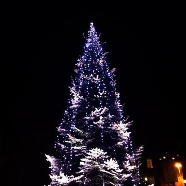 Trinity Tree lights up, 5pm. 