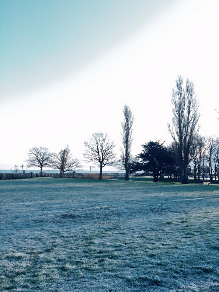 Frozen Morning Earth