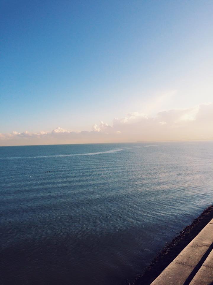 Views from the Trail