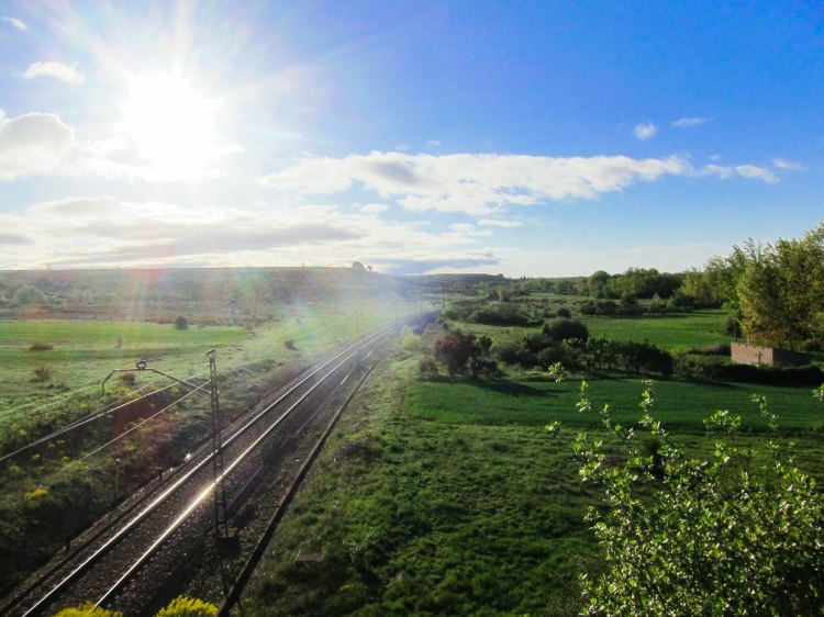 untitled (146 of 342)