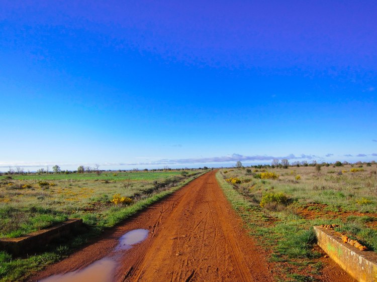 untitled (147 of 342)