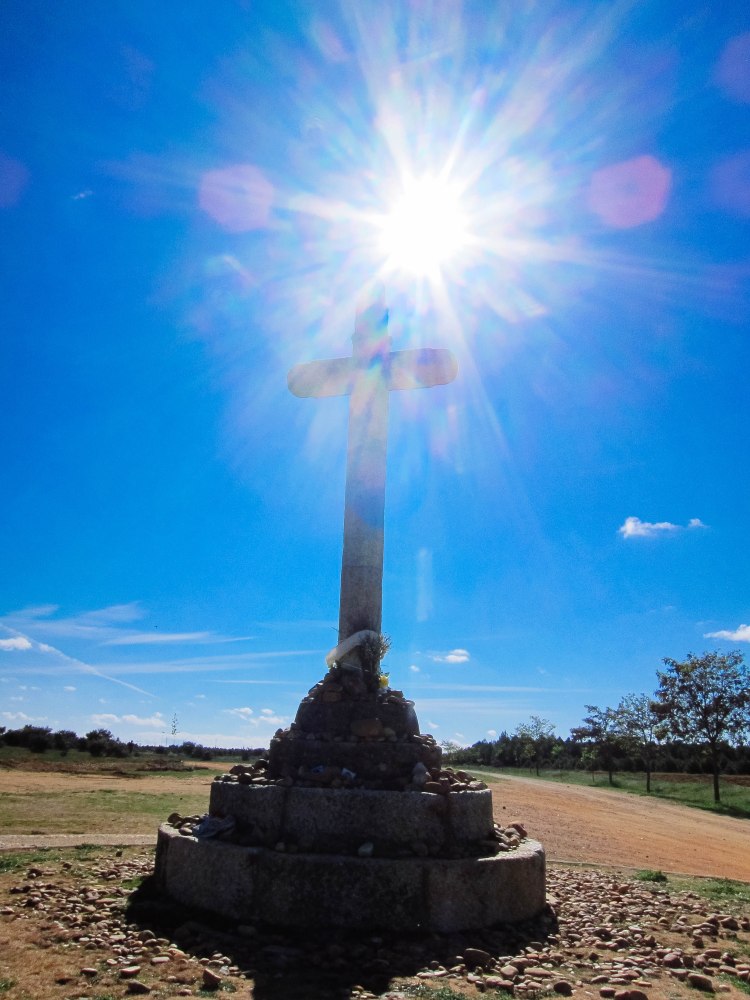 untitled (169 of 342)