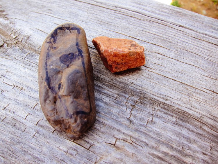 untitled (186 of 342)