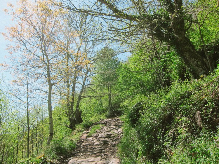 untitled (212 of 342)