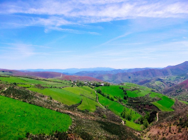 untitled (217 of 342)