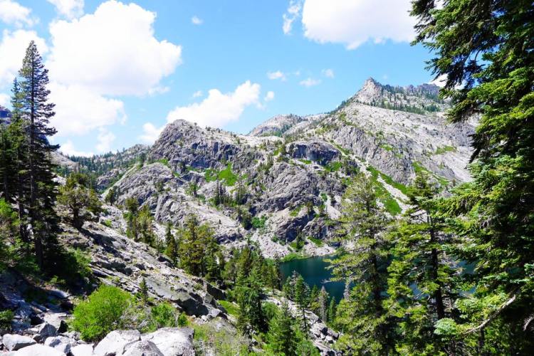 11753701_941674135498_1942763414538917918_n