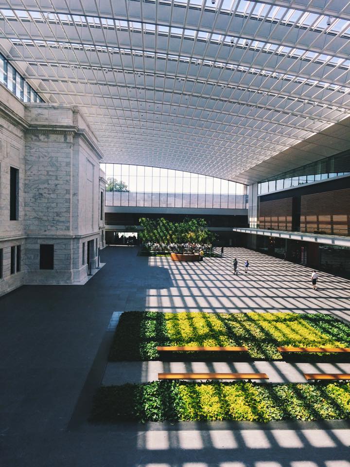 11885378_957300130878_482193052371176063_n