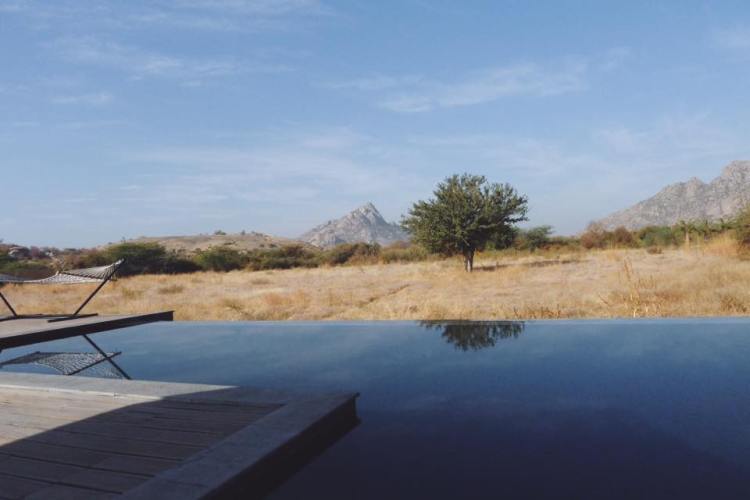 1003400_986072605608_3246799210464378018_n