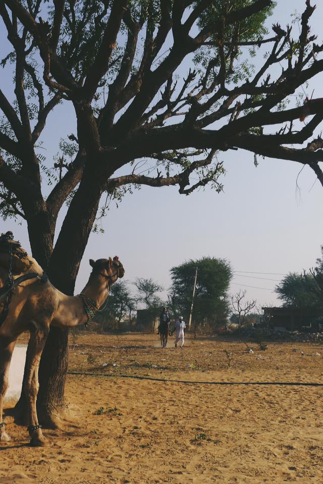 10293_986073753308_3053638218900337810_n