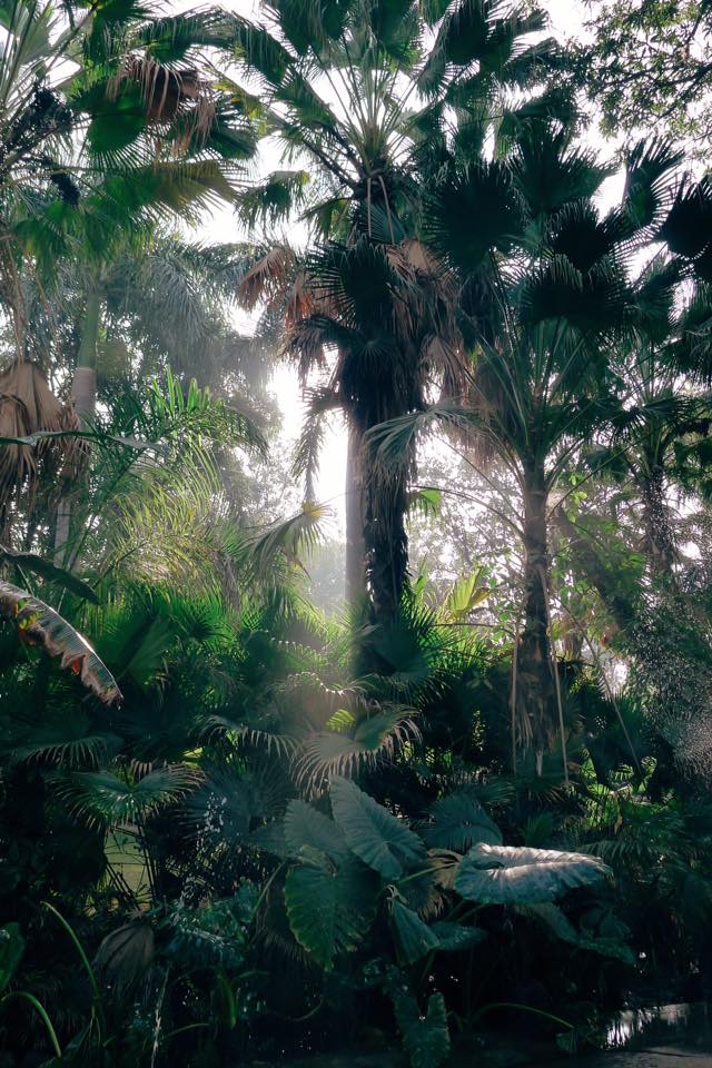 10410536_984413620228_8707036132730331612_n