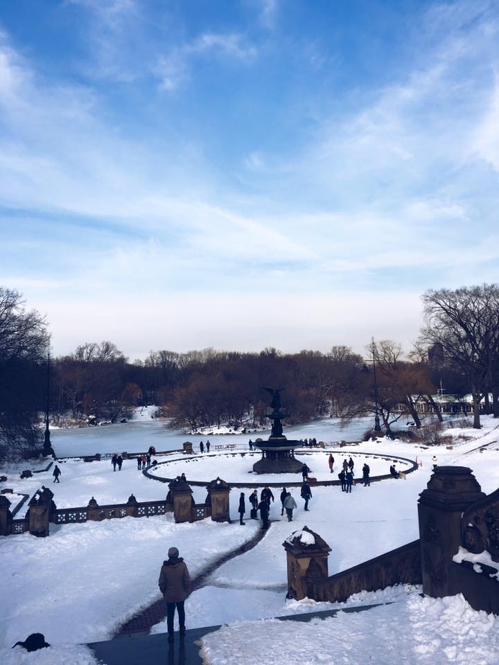 12592419_992861116378_8303123447363366255_n