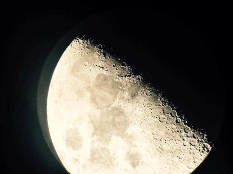 13220916_10100118854197208_5075905589079854492_n