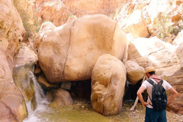 13230181_10100118852435738_2254590527185093751_n