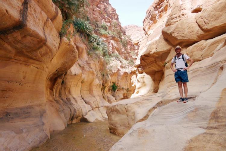 13237601_10100118852510588_2105385703159829712_n