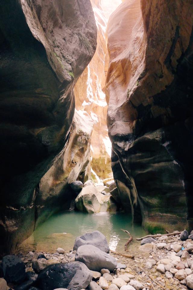 1936205_10100118852425758_3984571063116473261_n