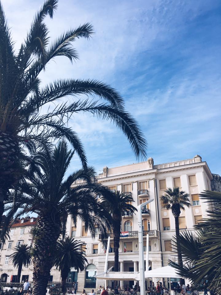 13254606_10100121542913998_3516375639504004525_n