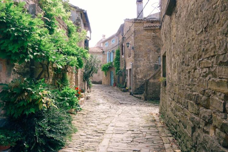 13267883_10100123084938768_455769405958536796_n