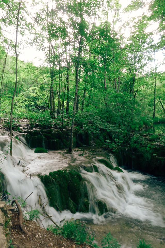 13407054_10100124417278748_294695656527698635_n