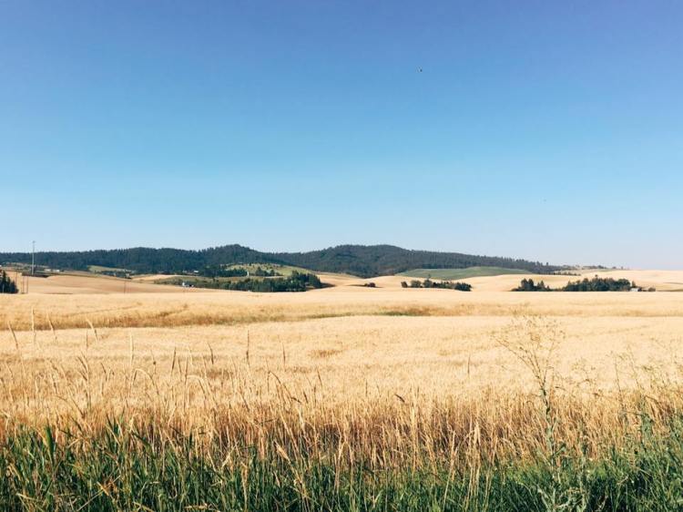 13900203_10100142497166508_2030314508387466413_n