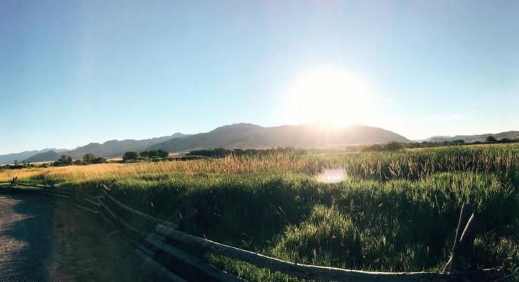 13906723_10100142497126588_4529730456414723795_n