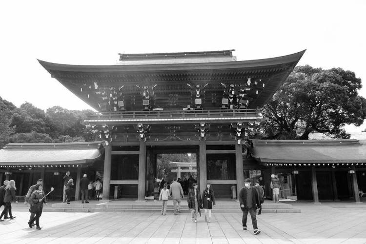 17760055_10100237339531648_6516114585002994034_n