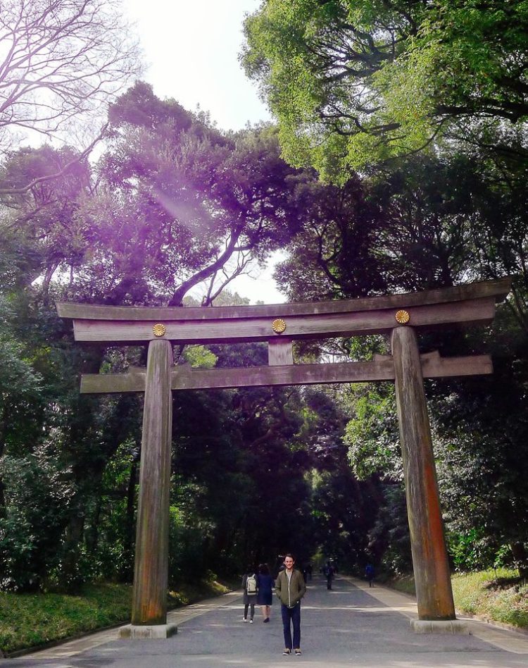 17799410_10100237339905898_6027707399916828135_n