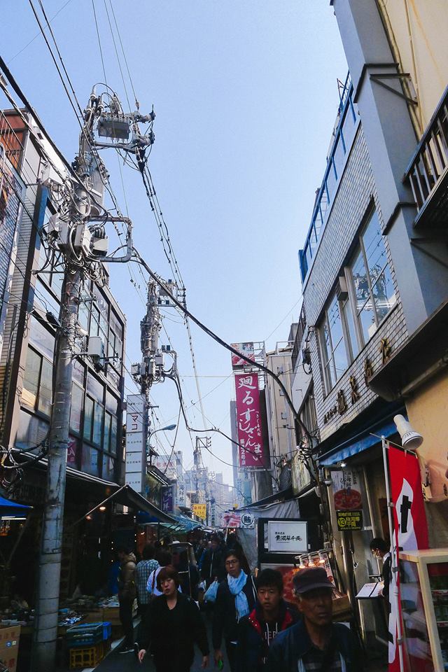 17800433_10100237340789128_7064709760863856995_n