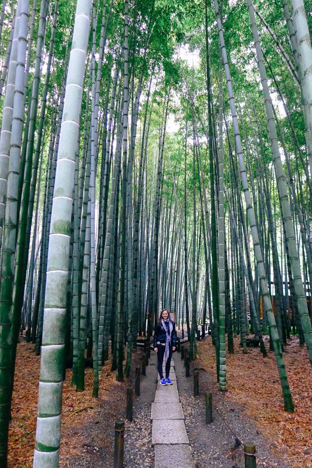 17862545_10100237475968228_3094022439216519944_n