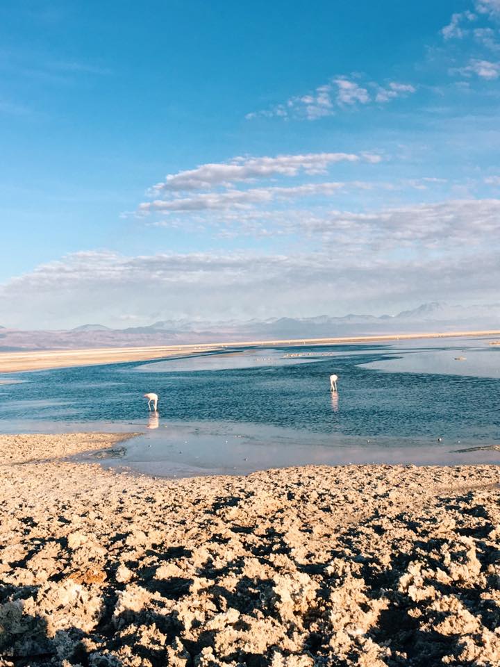 19510307_10100274897669838_2580993623258327705_n