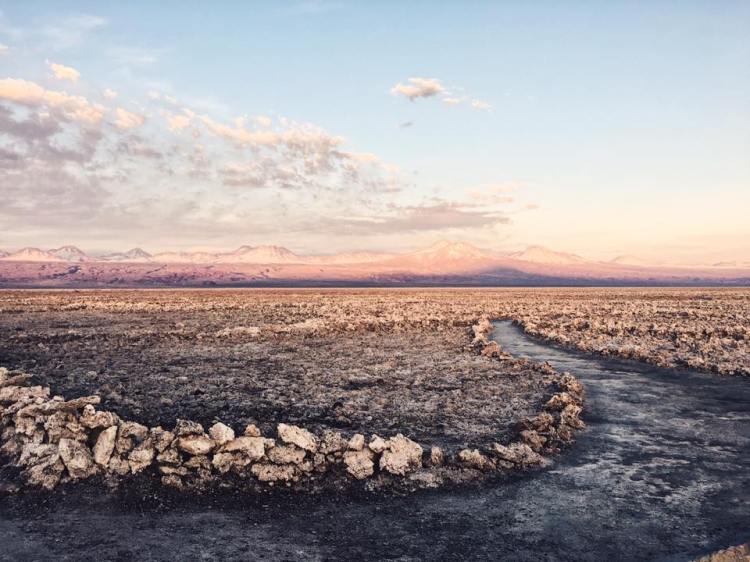 19511133_10100274897659858_2945926653136011144_n