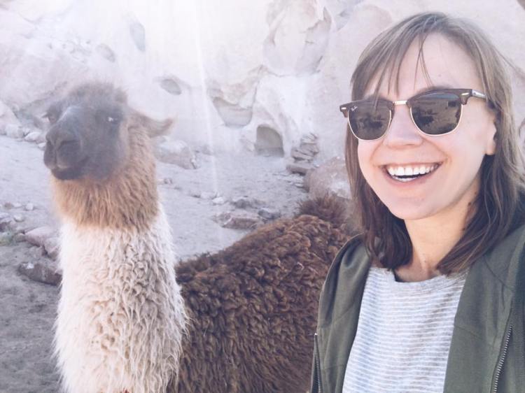 19554313_10100278775668298_8563228599651195856_n