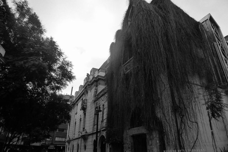 19554690_10100278783861878_2298371707110800576_n