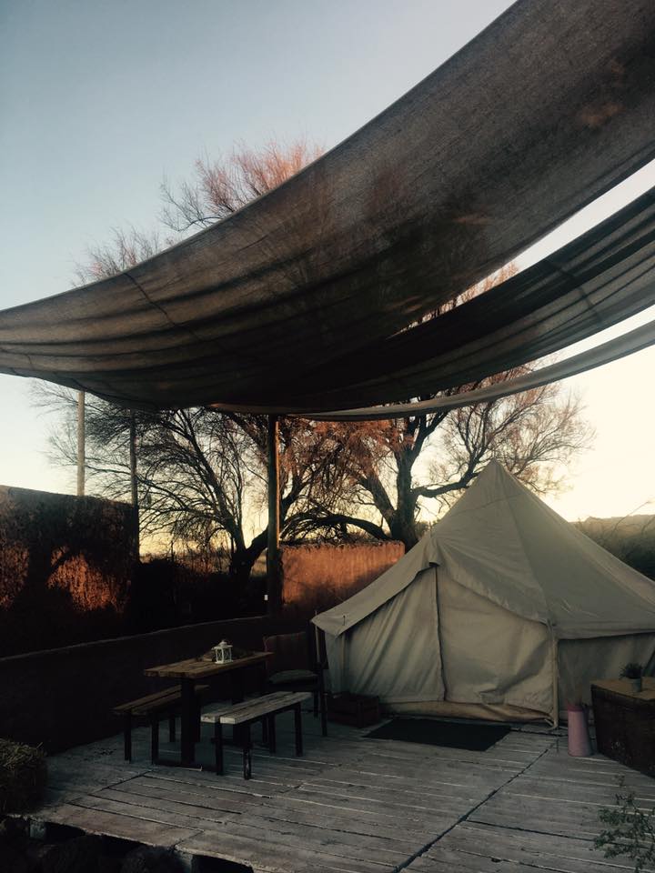 19598721_10100278775154328_3589898716991722450_n