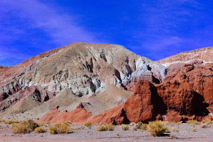 19598967_10100278784320958_7732352061327819358_n