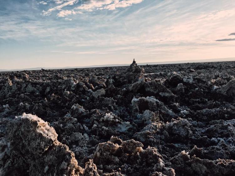 19642771_10100278775528578_6829125557511923538_n