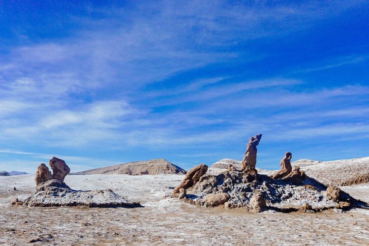 19656962_10100278783467668_2661119536926845839_n