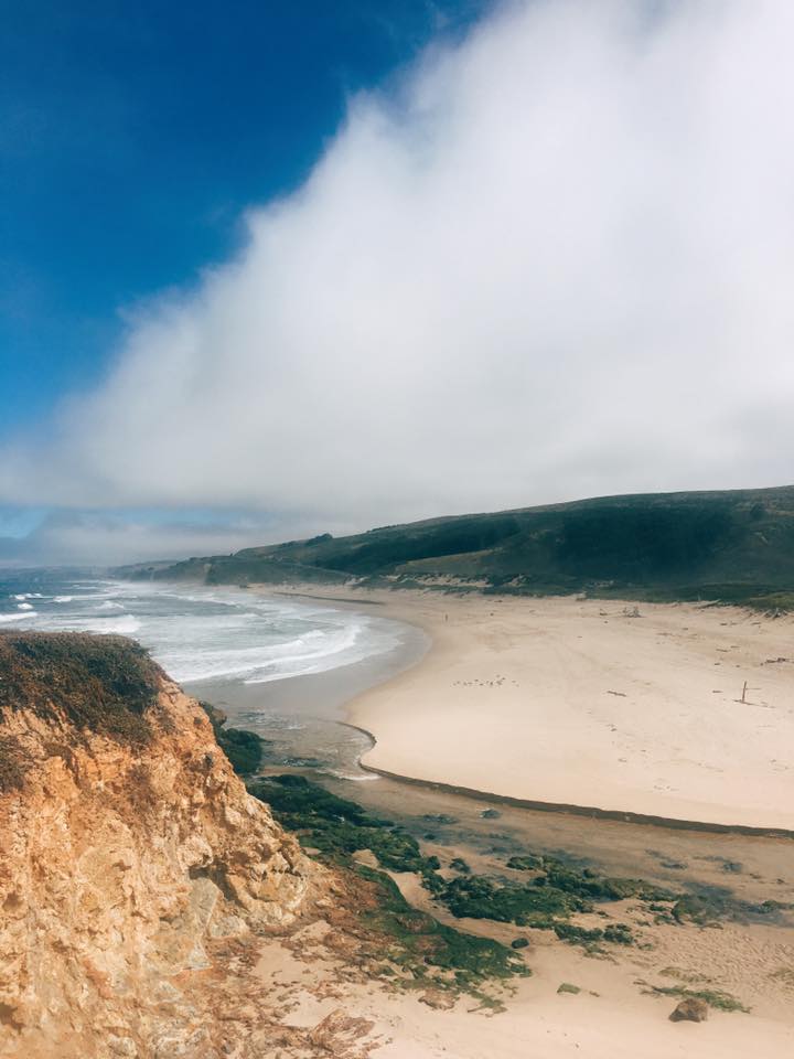 20728308_10100297525733018_2708939300012642681_n