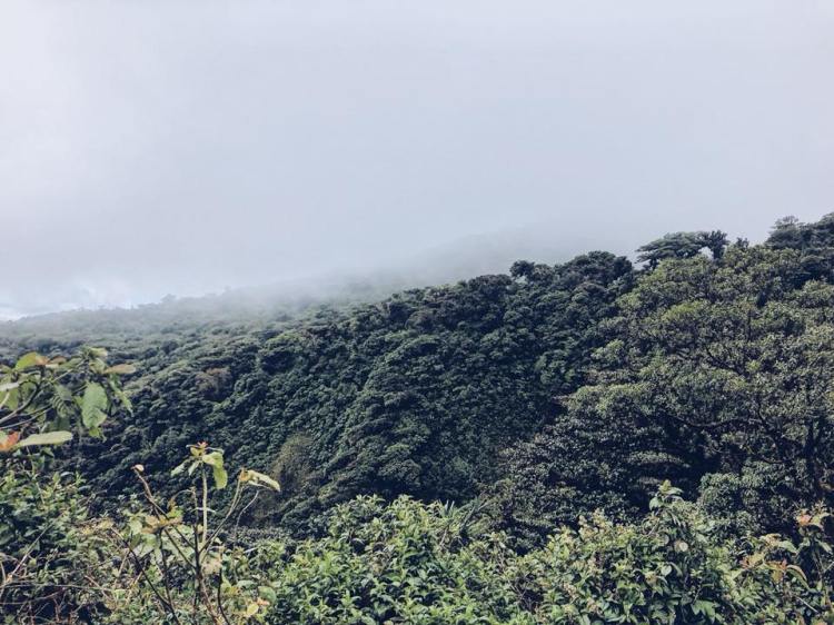 27459679_10100358050426048_4765468934144254146_n