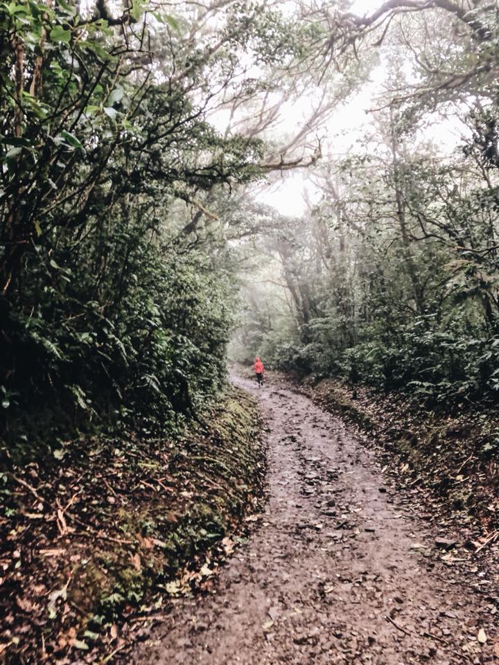 27545519_10100358050416068_8346062810376343547_n