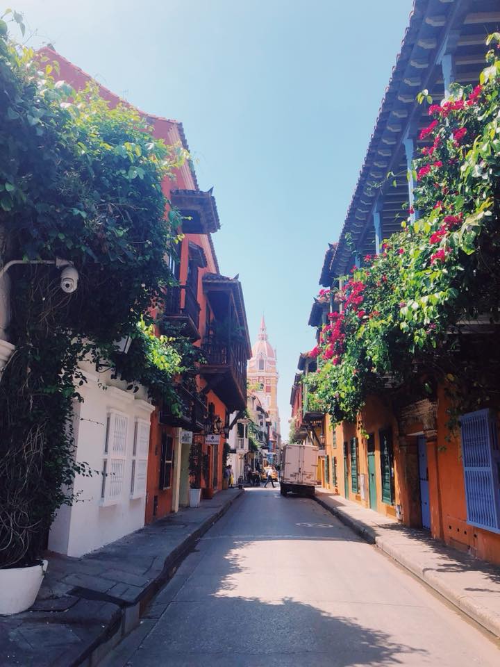 40541179_10100417800002418_4440946628731338752_n