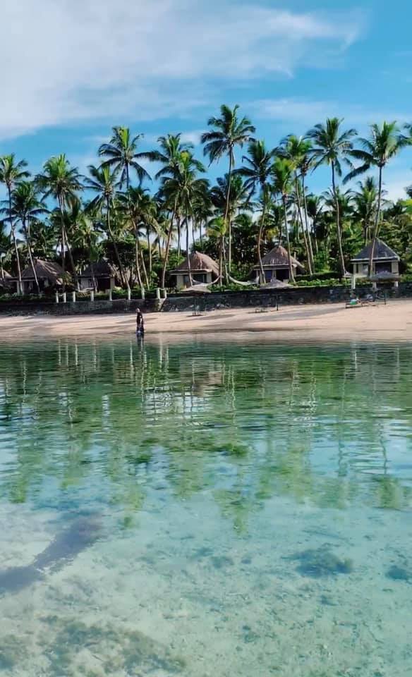 56990309_10100470053580828_6407718033103519744_n